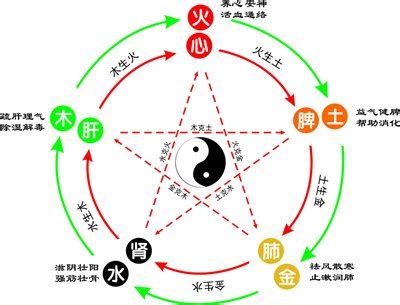 桐 五行|桐的五行属什么,桐字的五行属性,桐的寓意